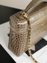 Chanel Large Vanity with chain, AP5347 Crocodile Gray