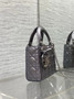 Qixi Mini Lady Dior Bag with Chain, M0505 Silver Gray Cannage Lambskin