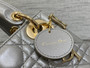 Mini Lady Dior Bag M0505 Gray Cannage Lambskin
