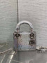 Mini Lady Dior Bag Silver Snake Leather M0505