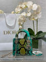 Mini Lady Dior Bag Green Yellow Snake Leather M0505