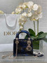 Mini Lady Dior Bag Blue Yellow Snake Leather M0505