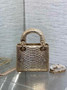 Mini Lady Dior Bag Gold Snake Leather M0505