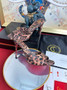 Christian Louboutin Miss Z Mule Ocelot 100mm Embroidered