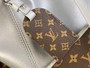 Louis Vuitton CarryAll MM Bag M12583 Gray Lambskin