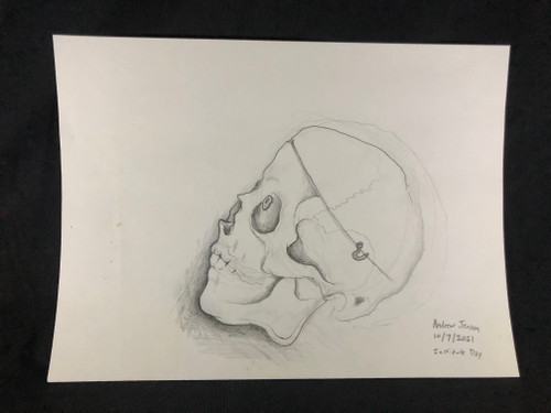 Original Pencil Drawing - Skull - 2021