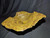 (SOLD) Unique Large Ceramic Dish - 2023