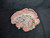 (SOLD) Ceramic Soap Dish - 2024