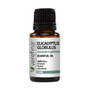 Eucalyptus Globulus Essential Oil - 15 ml