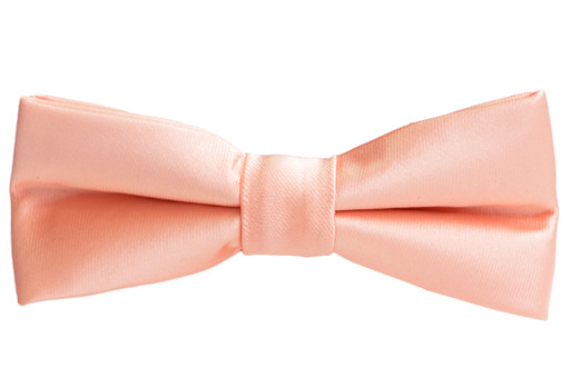 Black n Bianco Blush Pink Bow Tie