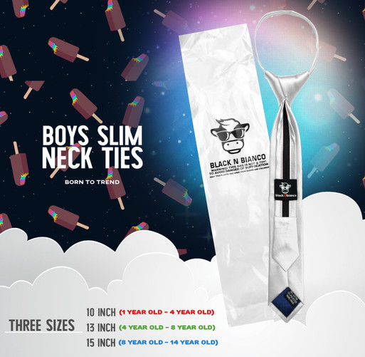 Boys Slim Silver Neck Tie