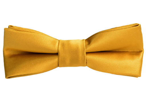 Black n Bianco Boys' Gold Bow Tie