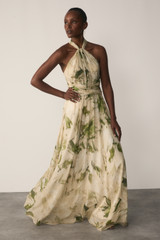 Rivara Silk Chiffon Maxi Dress Green And Ivory