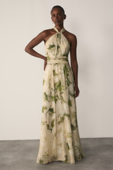 Rivara Silk Chiffon Maxi Dress Green And Ivory