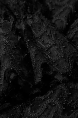 Aliano Lace Blouse Black