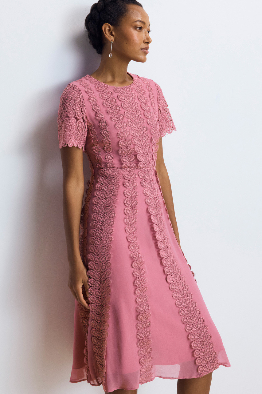 Montpellier Lace Dress Rose Pink - Welcome to the Fold LTD