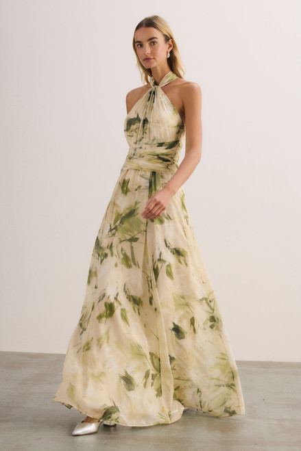 Rivara Silk Chiffon Maxi Dress Green And Ivory