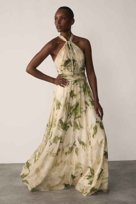 Rivara Silk Chiffon Maxi Dress Green And Ivory