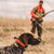 R.A.P.T. 1450 Upland Beeper Expandable Remote Dog Trainer Orange R.A.P.T. 1450 Upland Beeper Expandable Remote Dog Trainer Orange