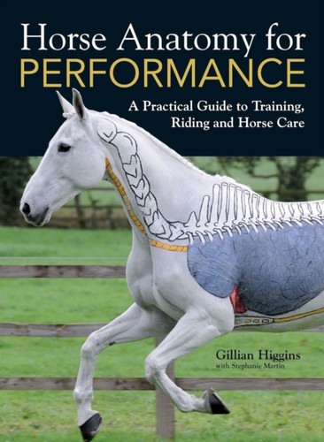Horse Anatomy for Performance 9781446300961 Hardback