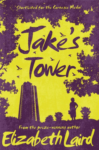 Jake's Tower 9781509826711 Paperback Jake's Tower 9781509826711 Paperback