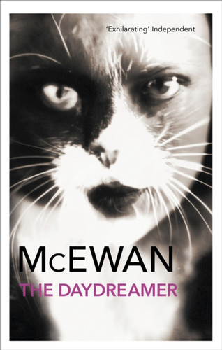 The Daydreamer 9780099590613 Paperback The Daydreamer 9780099590613 Paperback
