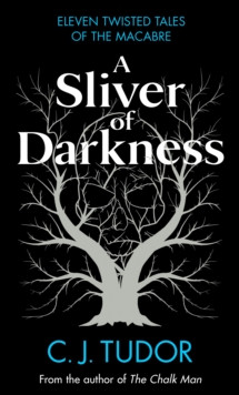 A Sliver of Darkness 9780241582633 Hardback
