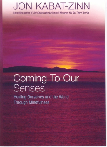 Coming To Our Senses 9780749925888 Paperback