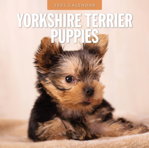 Yorkshire Terrier Puppies 2025 Square Wall Calendar 9781804425282 Paperback Yorkshire Terrier Puppies 2025 Square Wall Calendar 9781804425282 Paperback