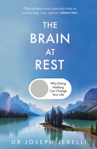 The Brain at Rest 9781911709336 The Brain at Rest 9781911709336