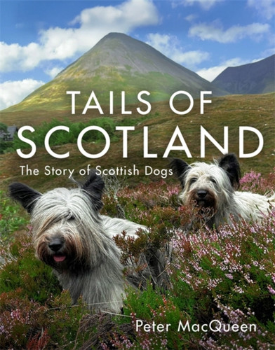Tails of Scotland 9781785308482 Hardback