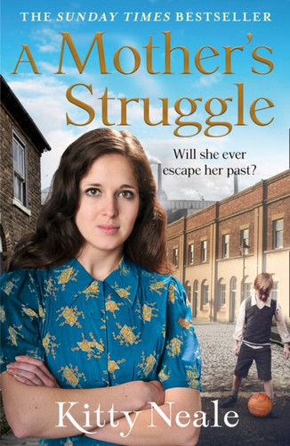 A Mother’s Struggle 9781847562432 Paperback