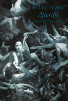 Afterlife 9781780373720 Paperback