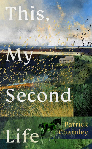 This, My Second Life 9781529155259 Hardback