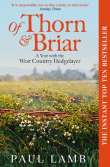Of Thorn & Briar 9781398535053 Paperback