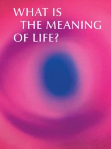 What is the Meaning of Life? 9781836360438 Paperback