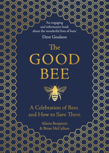 The Good Bee 9781789290837 Hardback