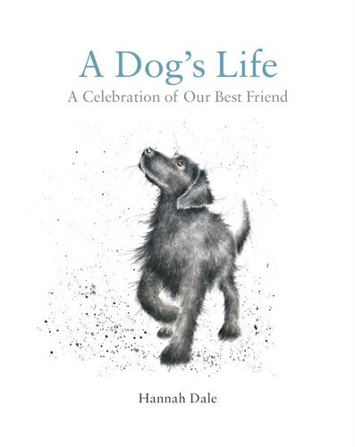 A Dog's Life 9781909881846 Hardback A Dog's Life 9781909881846 Hardback