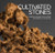 Cultivated Stones: Chinese Scholars' Rocks from the Kemin Hu Collection 9798218020804 Hardback