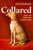 Collared 9781800816411 Hardback