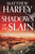 Shadows of the Slain 9781804548646 Hardback