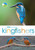 RSPB Spotlight Kingfishers 9781472987617 Paperback