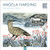 Angela Harding Mini Wall calendar 2025 (Art Calendar) 9781835621240 Calendar