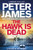 The Hawk Is Dead 9781529090062