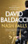Nash Falls 9781035034451 Hardback