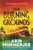 The Burning Grounds 9781529967586
