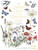 The Country Diary of an Edwardian Lady Colouring Book 9780718185428 Paperback