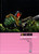 Judge Dredd: The Complete Case Files 17 9781907519833 Paperback