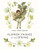Flower Fairies of the Spring 9780241284544 Hardback