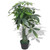 Artificial Fortune Tree Plant with Pot 33.5" Green A949-244448